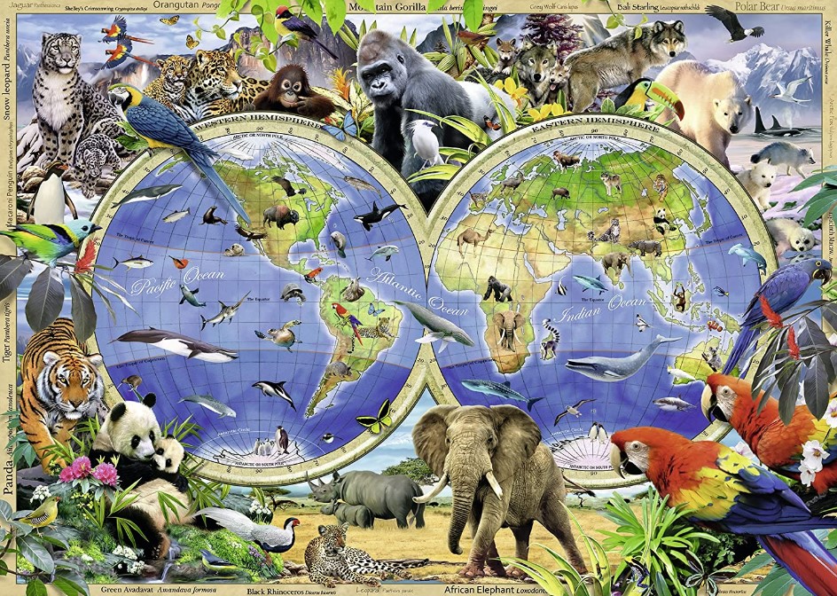 Ravensburger World of Wildlife Map Jigsaw Puzzle 300 PCS